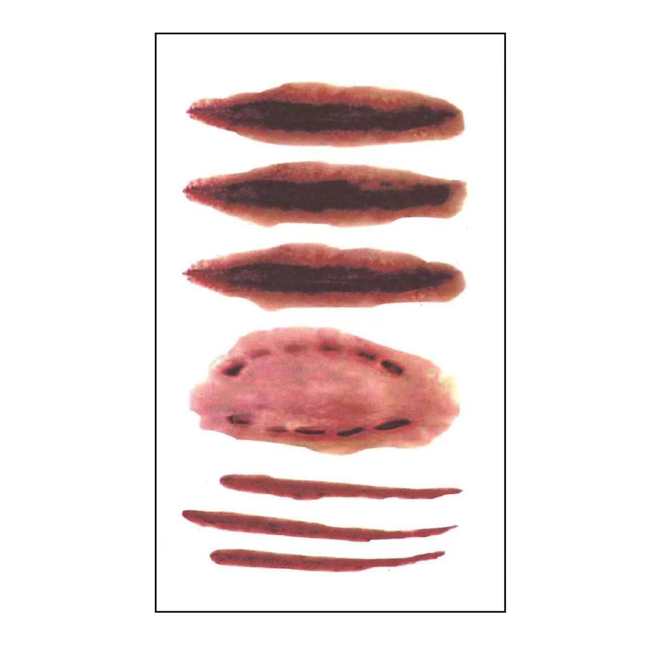 Wholesale 5pcs/pack Halloween Realistic Scar Tattoo Sticks Tooth Marks Scratches Stitch Wound Scars Horror Party Tattoo Sticks